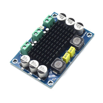 CA-3116D Original 100W Mono Audio Amplifier Board พร้อมชิป TPA3116D2 และการเข้า 12-24V