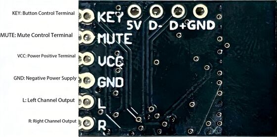 CA-425 V2.4 5.4 Wireless Audio Receiver Module with Lossless Stereo and High Fidelity Hi-Fi Electronic Components